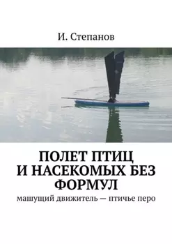 Полет птиц и насекомых без формул. Машущий движитель – птичье перо