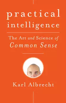 Practical Intelligence. The Art and Science of Common Sense