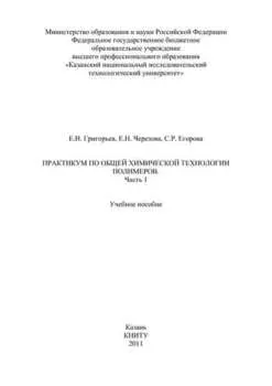Практикум по общей химической технологии полимеров. Часть 1