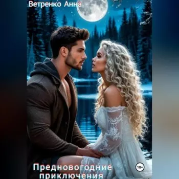 Предновогодние приключения