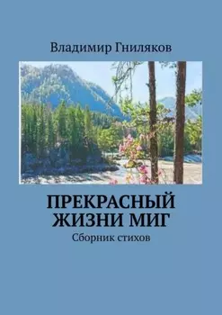 Прекрасный жизни миг. Сборник стихов