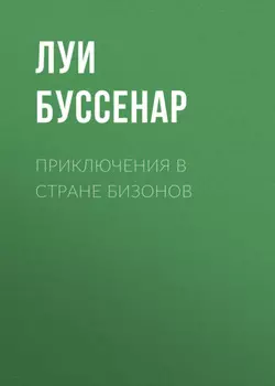 Приключения в стране бизонов