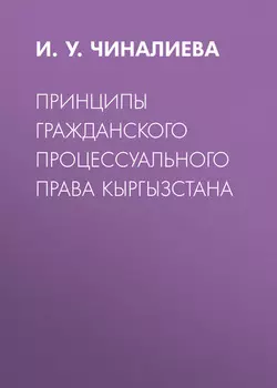 Принципы гражданского процессуального права Кыргызстана