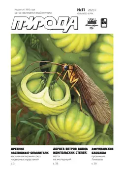 Природа №11/2023