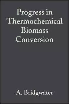Progress in Thermochemical Biomass Conversion