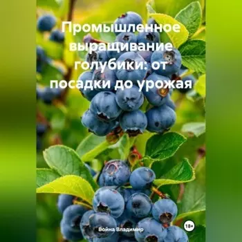 «Промышленное выращивание голубики: от посадки до урожая»