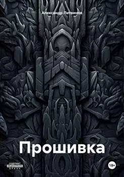 Прошивка