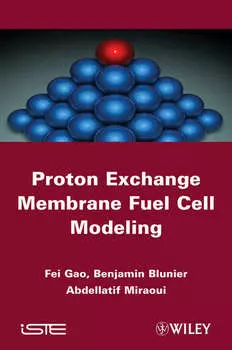 Proton Exchange Membrane Fuel Cells Modeling