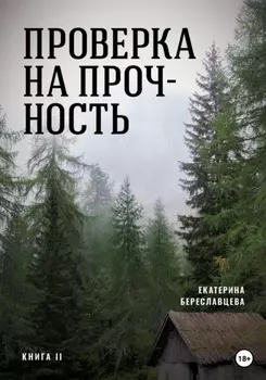 Проверка на прочность