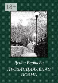 Провинциальная поэма. Роман в стихах