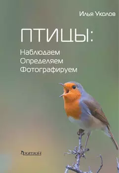 Птицы: наблюдаем, определяем, фотографируем
