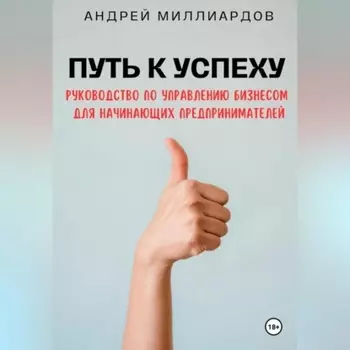 Путь к успеху. Руководство по управлению бизнесом для начинающих предпринимателей