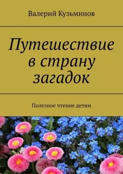 Путешествие в страну загадок. Полезное чтение детям