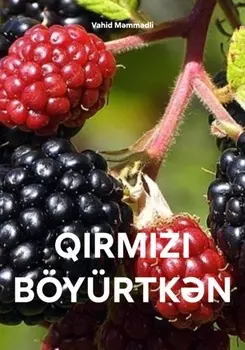 QIRMIZI B?Y?RTKN