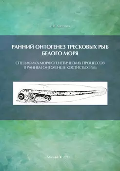 Ранний онтогенез тресковых рыб Белого моря. Специфика морфогенетических процессов в раннем онтогенезе костистых рыб (на примере развития тресковых)
