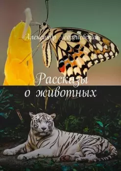 Рассказы о животных
