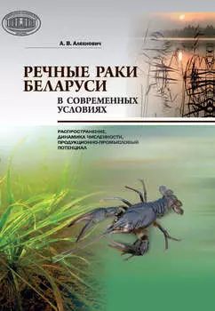 Речные раки Беларуси в современных условиях