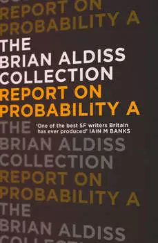 Report on Probability A
