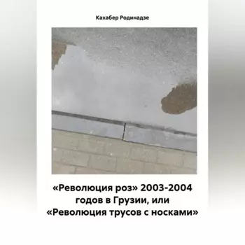 «Революция роз» 2003-2004 годов в Грузии, или «Революция трусов с носками»