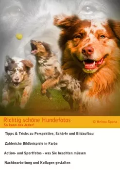 Richtig sch?ne Hundefotos