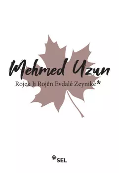 Rojek Ji Roj?n Evdal? Zeynik?