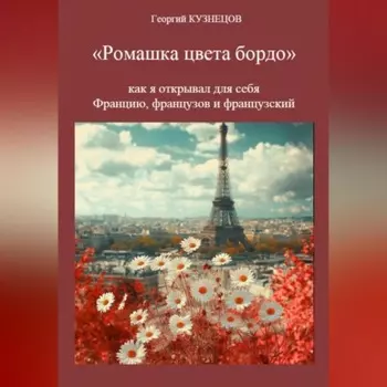 Ромашка цвета бордо