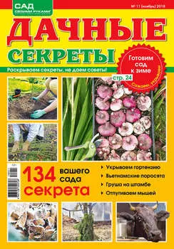 Сад своими руками. Дачные секреты №11/2018