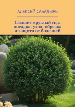 Самшит круглый год: посадка, уход, обрезка и защита от болезней