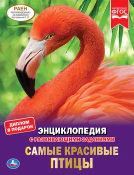 Самые красивые птицы