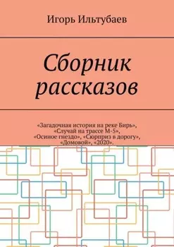 Сборник рассказов. «Загадочная история на реке Бирь», «Случай на трассе М-5», «Осиное гнездо», «Сюрприз в дорогу», «Домовой», «2020»