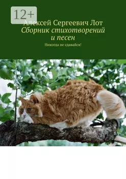 Сборник стихотворений и песен. Никогда не сдавайся!