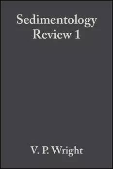 Sedimentology Review 1