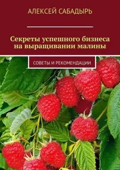 Секреты успешного бизнеса на выращивании малины. Советы и рекомендации