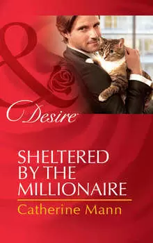 Sheltered by the Millionaire