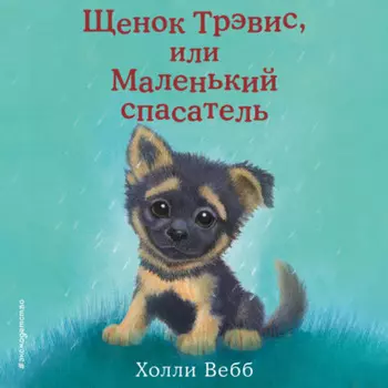 Щенок Трэвис, или Маленький спасатель