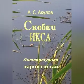 Скобки икса. Литературная критика