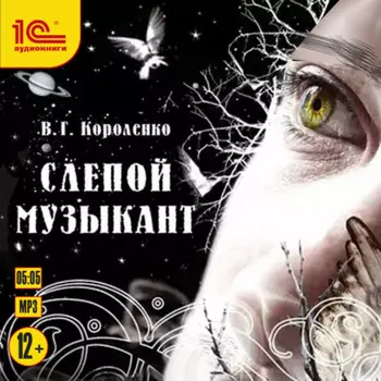 Слепой музыкант