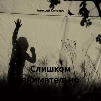 Слишком внимательно