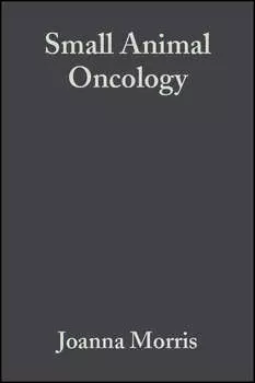 Small Animal Oncology
