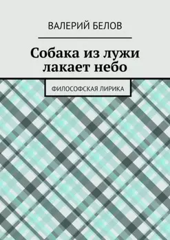 Собака из лужи лакает небо. Философская лирика