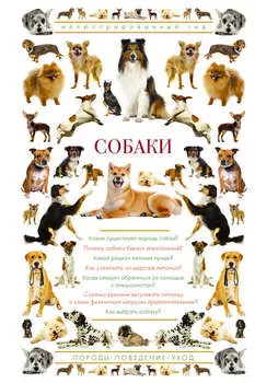 Собаки. Иллюстрированный гид
