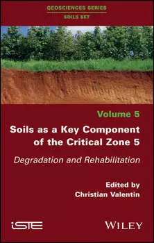 Soils as a Key Component of the Critical Zone 5. Degradation and Rehabilitation