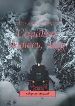 Созидаю, борюсь, ищу. Сборник стихов