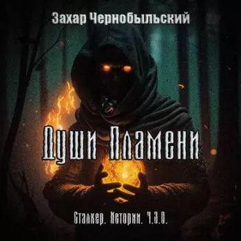 Сталкер. Истории. Ч.З.О. Души Пламени