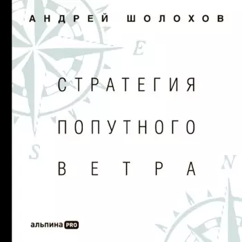 Стратегия попутного ветра. Как обнаружить или создать асимметрии, способные придать бизнесу ускорение
