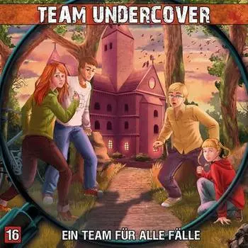 Team Undercover, Folge 16: Ein Team f?r alle F?lle