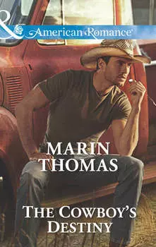 The Cowboy's Destiny