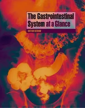 The Gastrointestinal System at a Glance