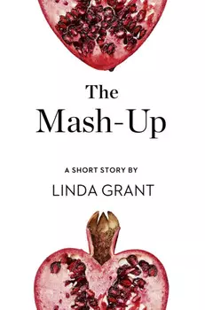 The Mash-Up: A Short Story from the collection, Reader, I Married Him