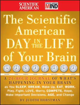 The Scientific American Day in the Life of Your Brain. A 24 hour Journal of What's Happening in Your Brain as you Sleep, Dream, Wake Up, Eat, Work, Play, Fight, Love, Worry, Compete, Hope, Make Important Decisions, Age and Change